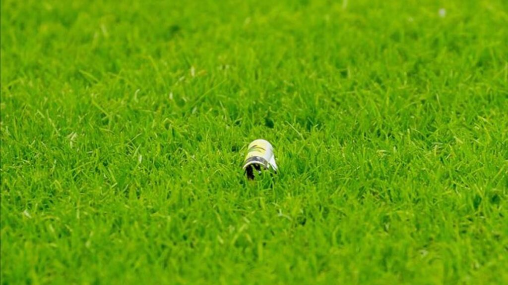 The referee’s record does not mention the lighters launched in Mestalla