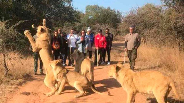 Neymar Júnior Enjoys between lions of his holidays