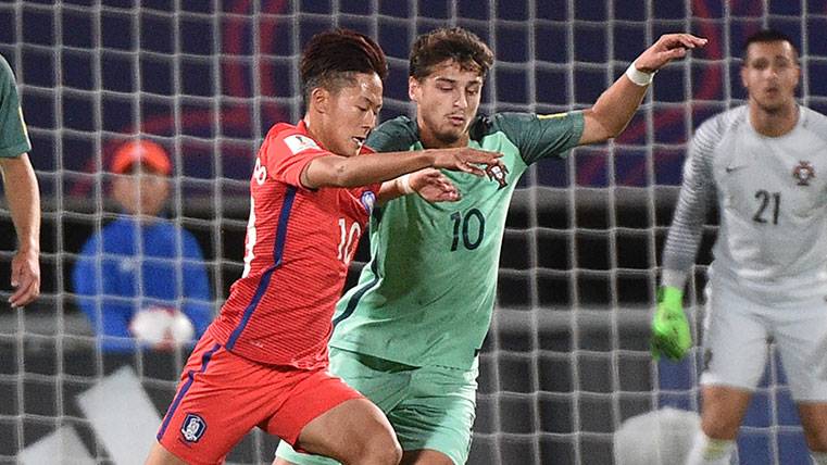 The Korean Reads, another promise of The Masia in danger