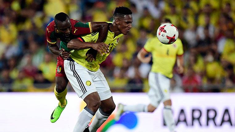 Yerry Mina  lesiona and complicates  his signing by the Barça