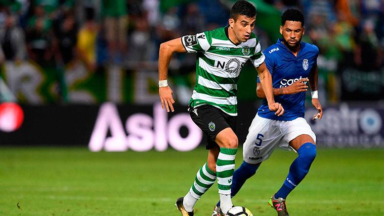 The Sporting values to use another individual labeling with Leo Messi