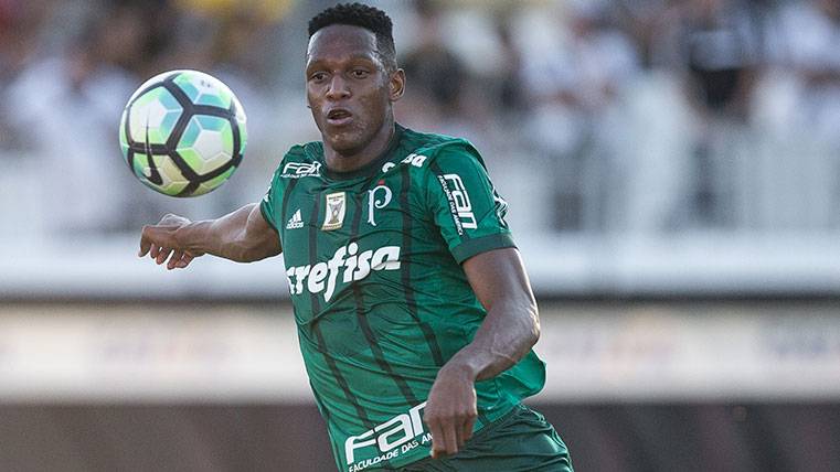 Yerry Mina explains the days to go back to get dressed of short