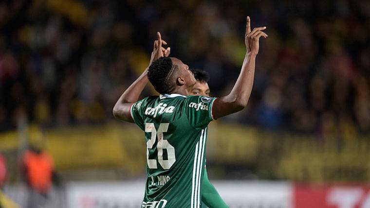 It enciphers it limit that the Barcelona would pay by Yerry Mina