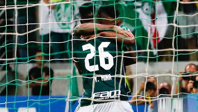 Yerry Mina adds  to the wrap of the dorsal: His is not available