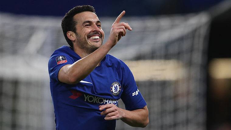 Pedro, to the players of the Barça: “What would give for being in this changing room”
