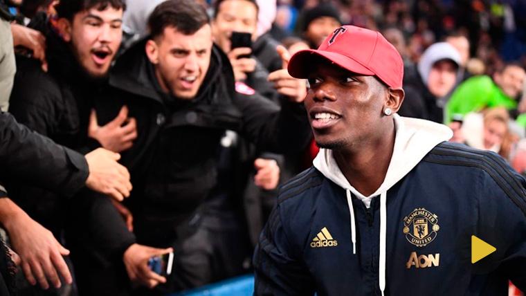 Pogba And Evra madden in the celebration of the Manchester United