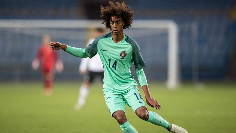 The FC Barcelona interests  in one of the perlas of the Benfica