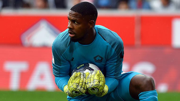 Maignan Is the favourite of the United, that does not have to Cillessen like a priority