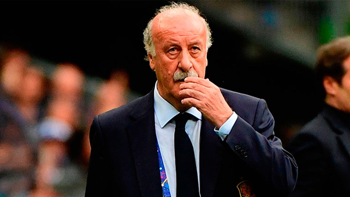 Vicente del bosque in a match of the Spanish national team