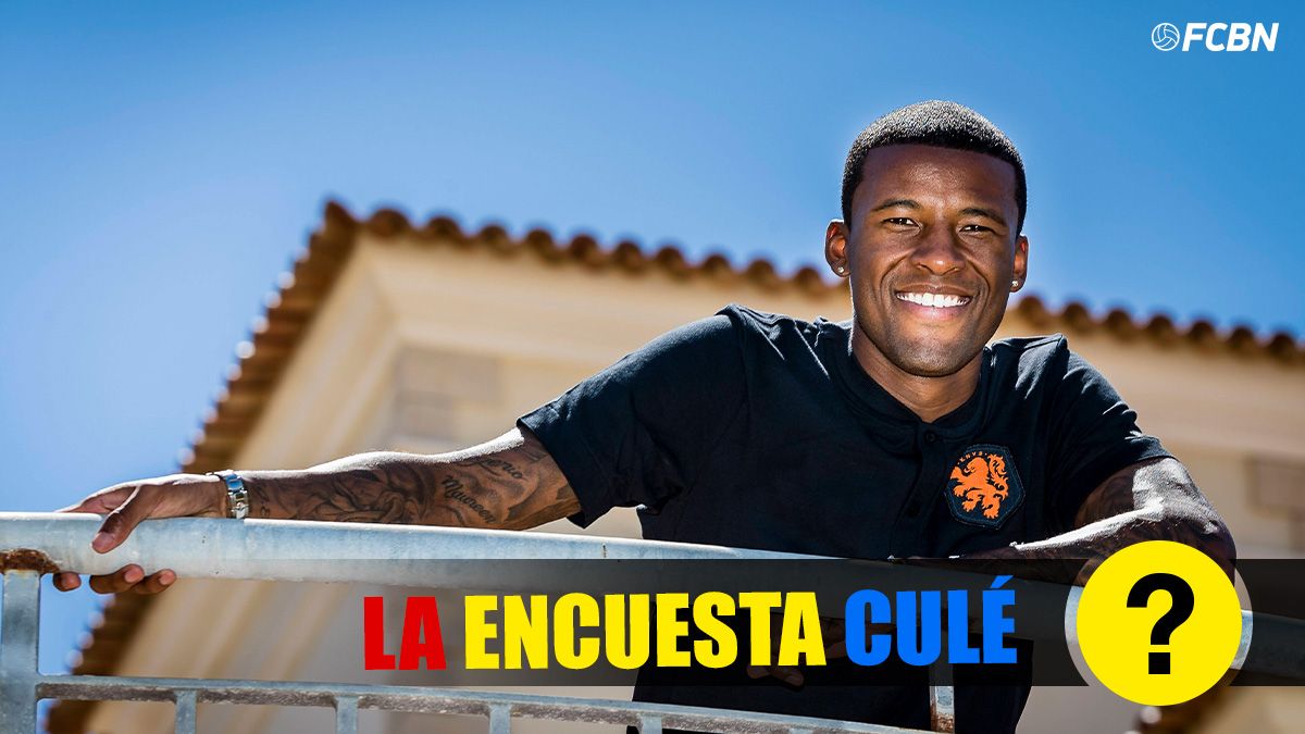 Georginio Wijnaldum, possible next signing of the Barça