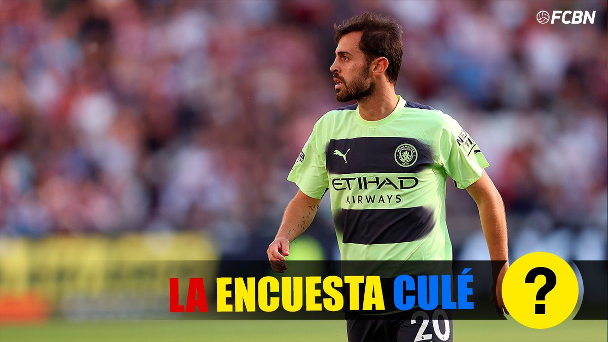 Encuesta de Bernardo Silva