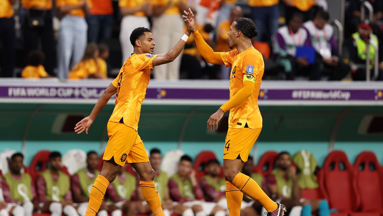 Gakpo and Van Dijk high five