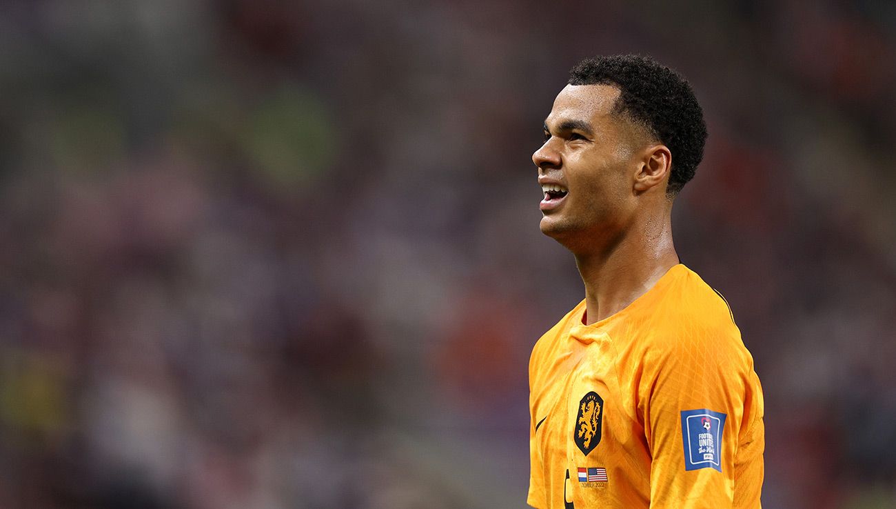 Cody Gakpo durante el Mundial de Qatar