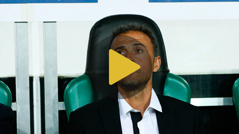 Luis Enrique, en el banquillo del Borussia-Park