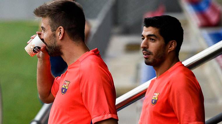 Gerard Piqué en un entrenamiento del FC Barcelona