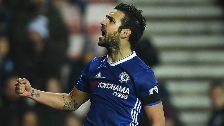 Cesc Fábregas, celebrating the goal of the triumph in front of the Sunderland