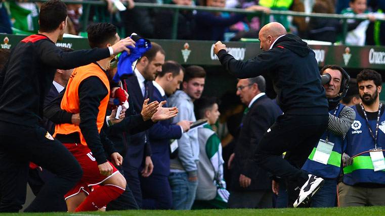 Jorge Sampaoli, celebrating a goal of the Seville to the Real Betis