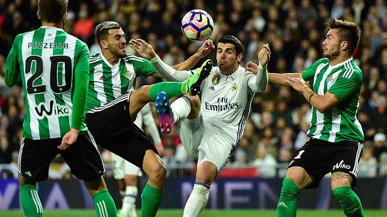 Dani Ceballos ante Morata durante el Madrid-Betis