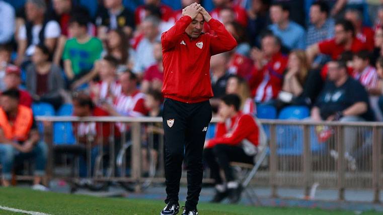 Jorge Sampaoli, llevándose las manos a la cabeza en un partido del Sevilla