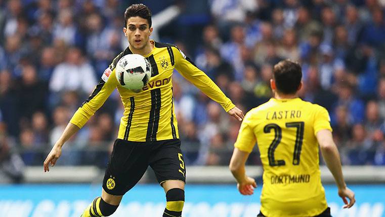 Marc Bartra keeps growing in the Borussia of Dortmund after leaving the Barça