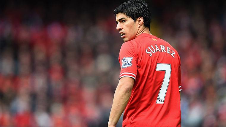 Luis Suárez, in his time with the Liverpool