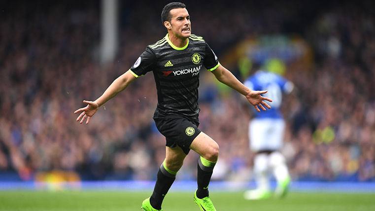 Pedro Rodríguez celebrates his goal with Chelsea in front of the Everton