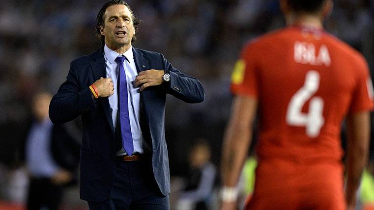 Juan Antonio Pizzi, dirigiendo un partido de Chile