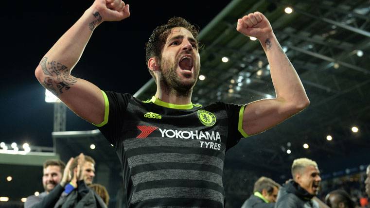 Cesc Fábregas, celebrating the new title harvested with Chelsea