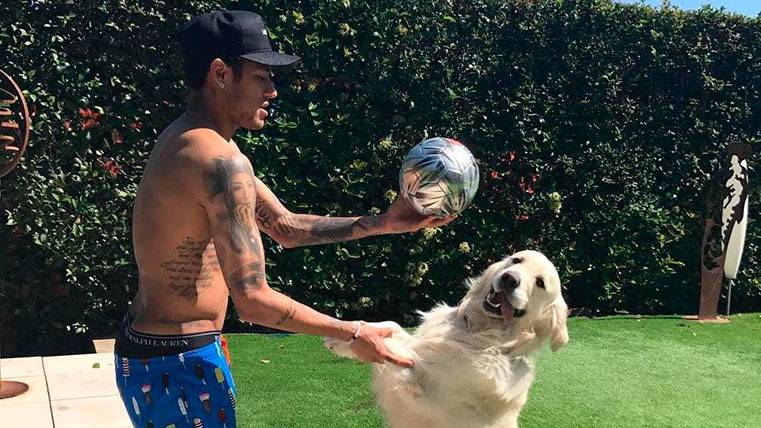 Neymar Júnior disfrutando con su perro Poker