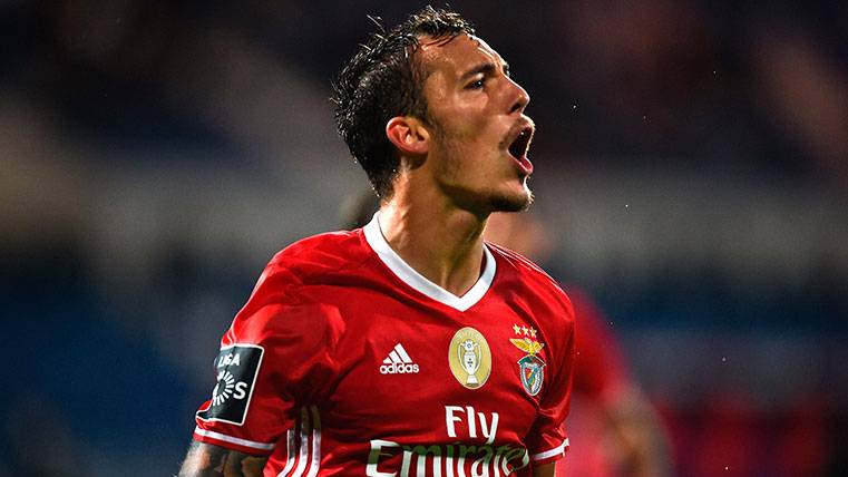 Grimaldo celebra un gol en el Belenenses-Benfica de hace una temporada