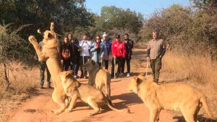 Neymar Júnior, en sus vacaciones rodeado de leonas