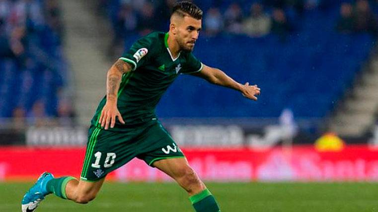 Dani Ceballos, en un partido con el Real Betis