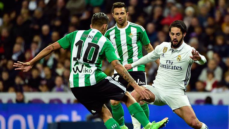 Dani Ceballos, during a party against the Real Madrid