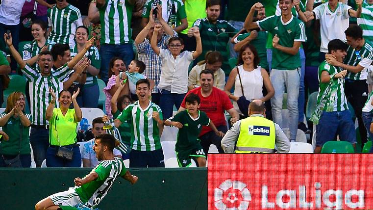 Dani Ceballos, celebrando un gol marcado con el Betis