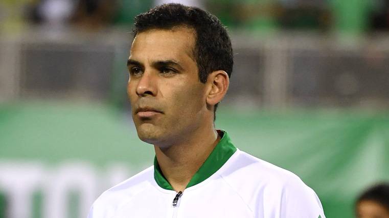 Rafa Márquez, before contesting a party with the selection of Mexico