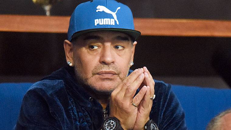 Diego Armando Maradona, in an image of archive