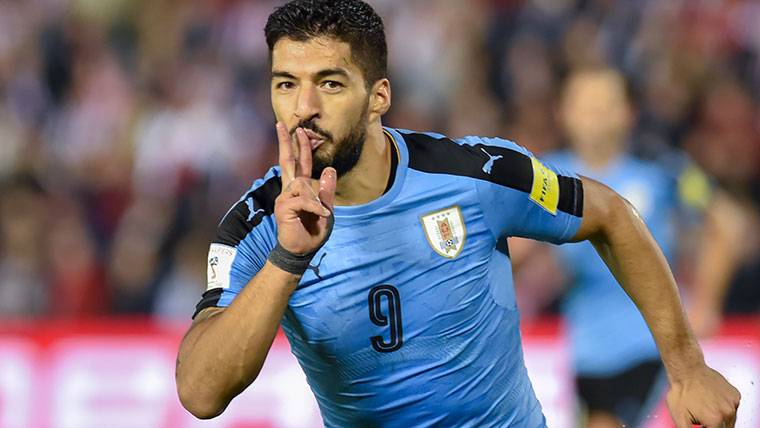 Luis Suárez, celebrating a marked goal with the selection of Uruguay