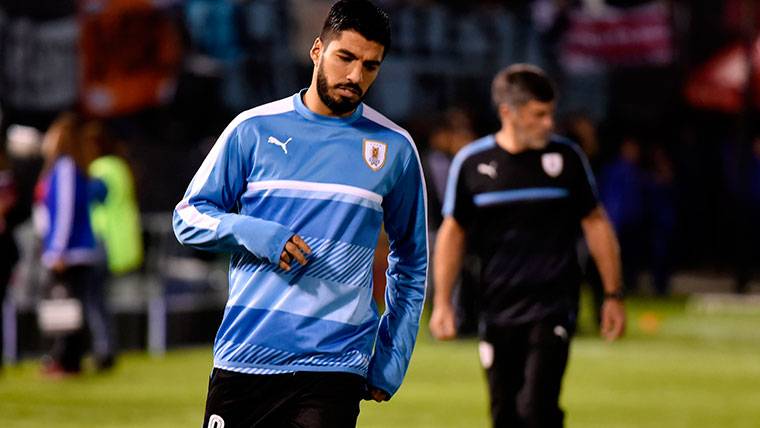 Luis Suárez, during a warming with the selection of Uruguay