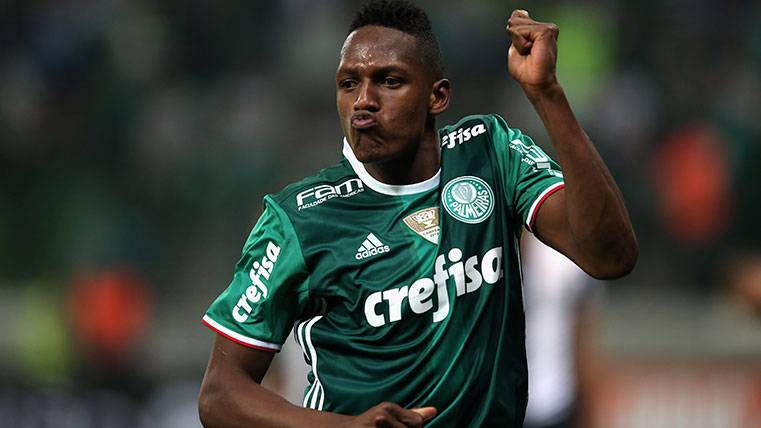 Yerry Mina celebra un gol anotado con el Palmeiras