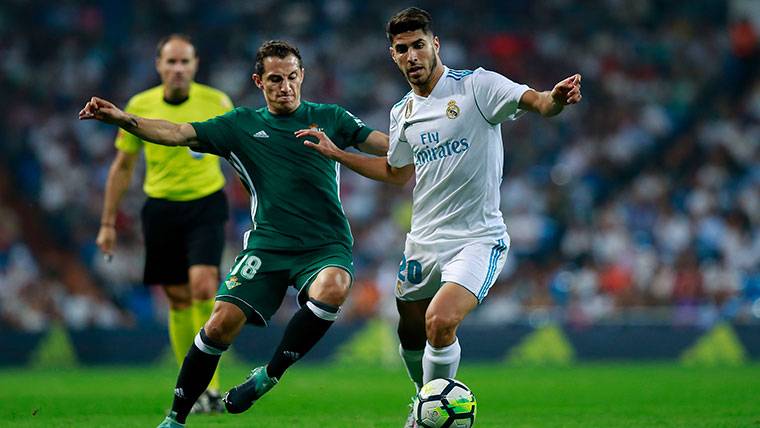 Marco Asensio, during the party against the Real Betis