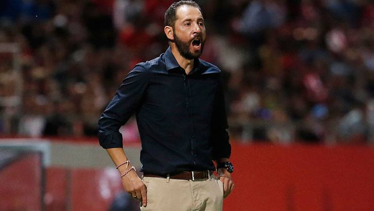 Pablo Machín in the première of the Girona in First Division