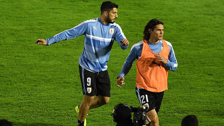 Edinson Cavani And Luis Suárez, during a warming with Uruguay