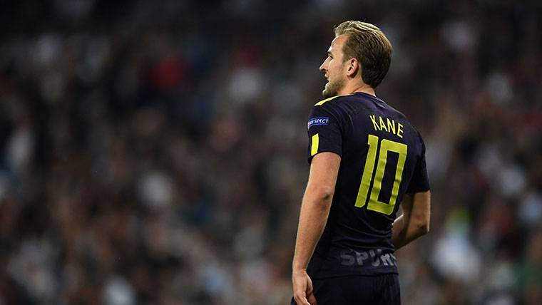 Harry Kane, during the party against the Real Madrid in the Bernabéu