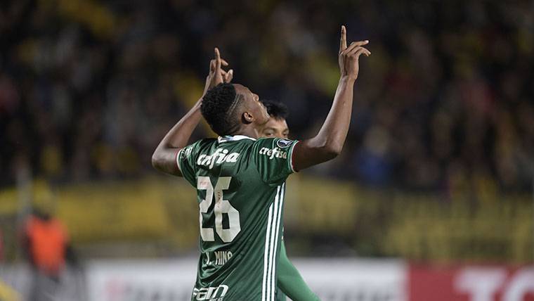 Yerry Mina, durante un partido con el Palmeiras