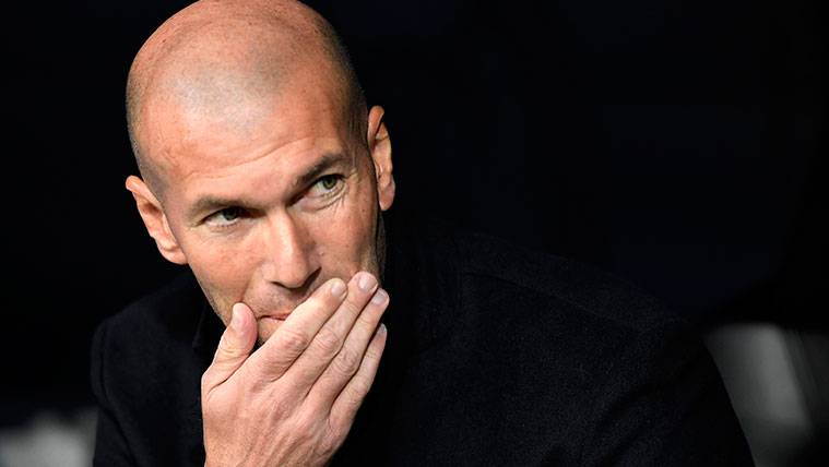 Zinedine Zidane in the bench of the Real Madrid