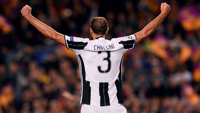 Giorgio Chiellini celebrates a victory in Champions with the Juventus