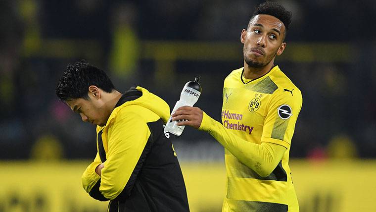 Pierre-Emerick Aubameyang, after a party with the Dortmund