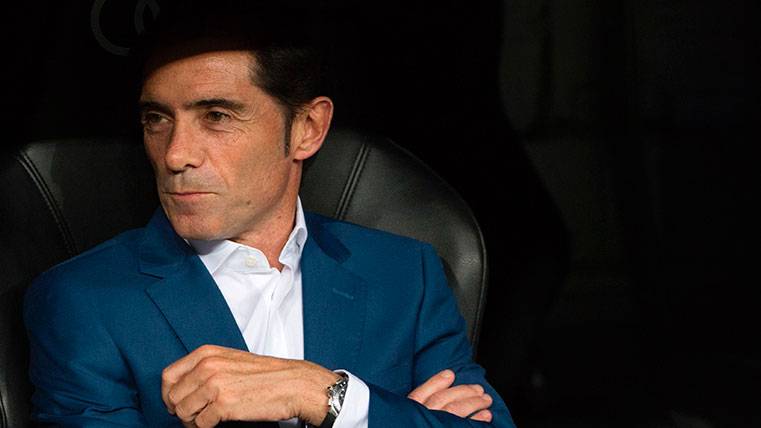 Marcelino García Toral in the bench