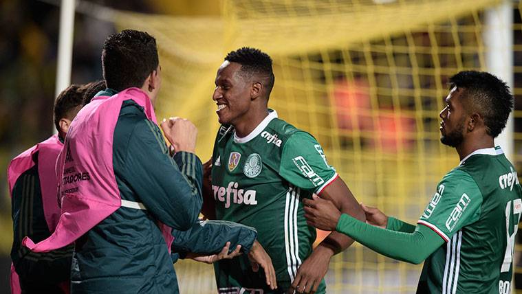 Yerry Mina celebrates a goal annotated with the Palmeiras