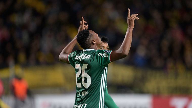 Yerry Mina, durante un partido con el Palmeiras